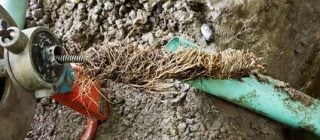 main_sewer_line_clooged