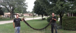 sewer-repair-contractors-nj